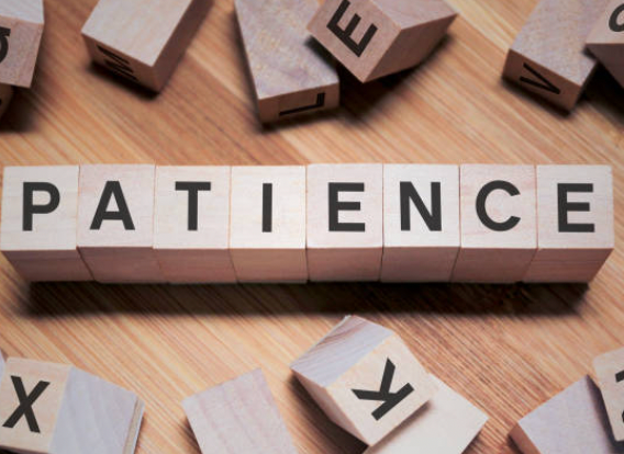 Photo Tip of the Week: Patience Pays 