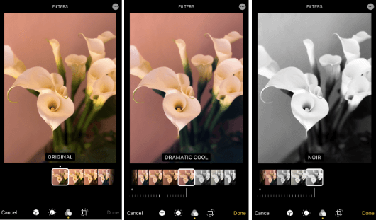 How To Use Filters Like A Pro