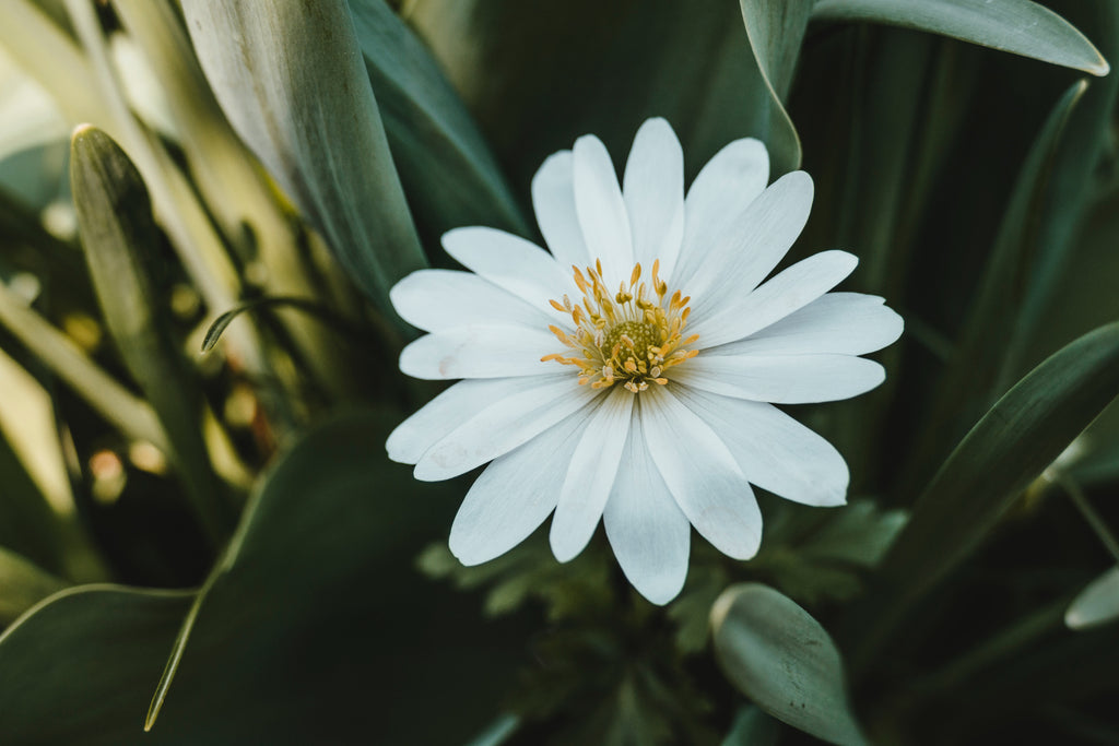 All About White Balance