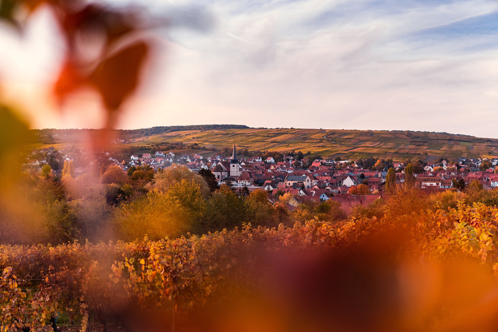 TIP OF THE WEEK: Think about the foreground