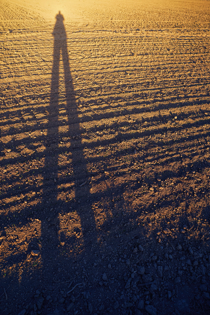 TIP OF THE WEEK: Sunset Photo Idea